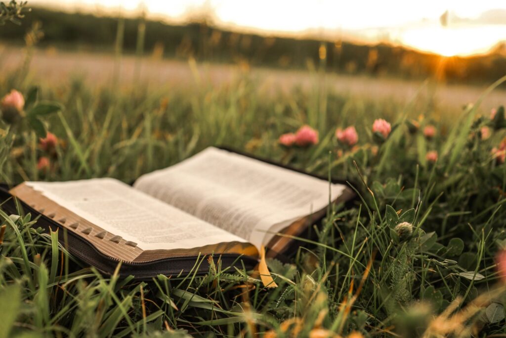 open Bible with sunlight